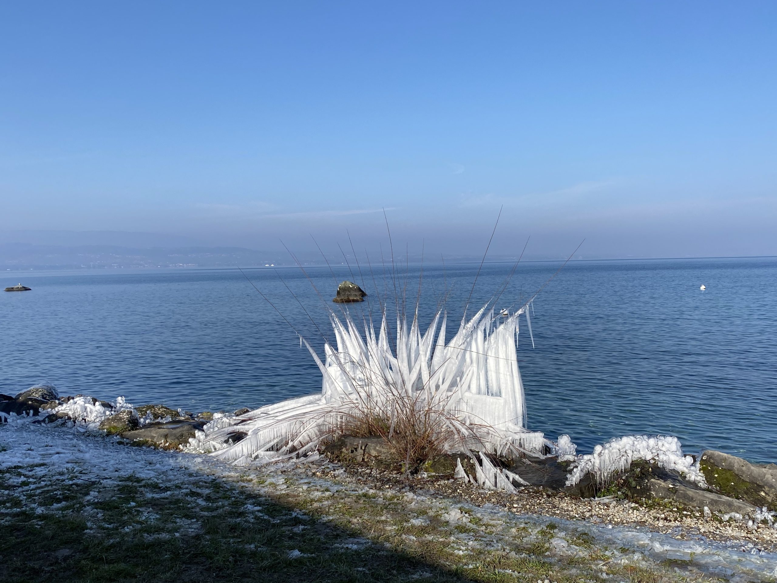 Sculptures glacées au bord du lac